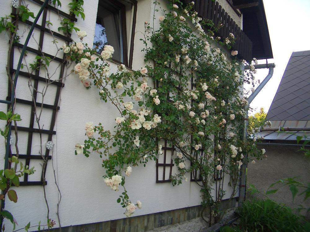Chata Pavla Jablonec nad Nisou Exterior foto